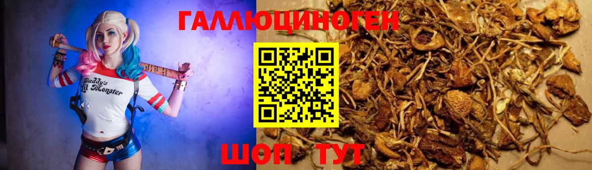 Королёв  Галлюциногенные грибы мицелий  Вход с VPN 