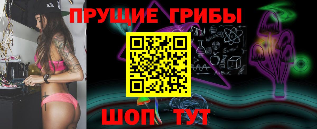 Псилоцибиновые грибы Cubensis Королёв
